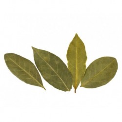 Laurel hoja