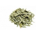 Salvia hoja