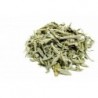 Salvia hoja
