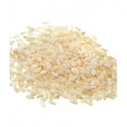 Sesamo blanco