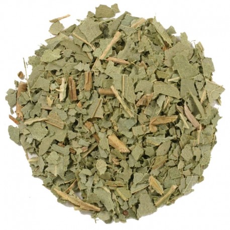 Eucalipto hoja