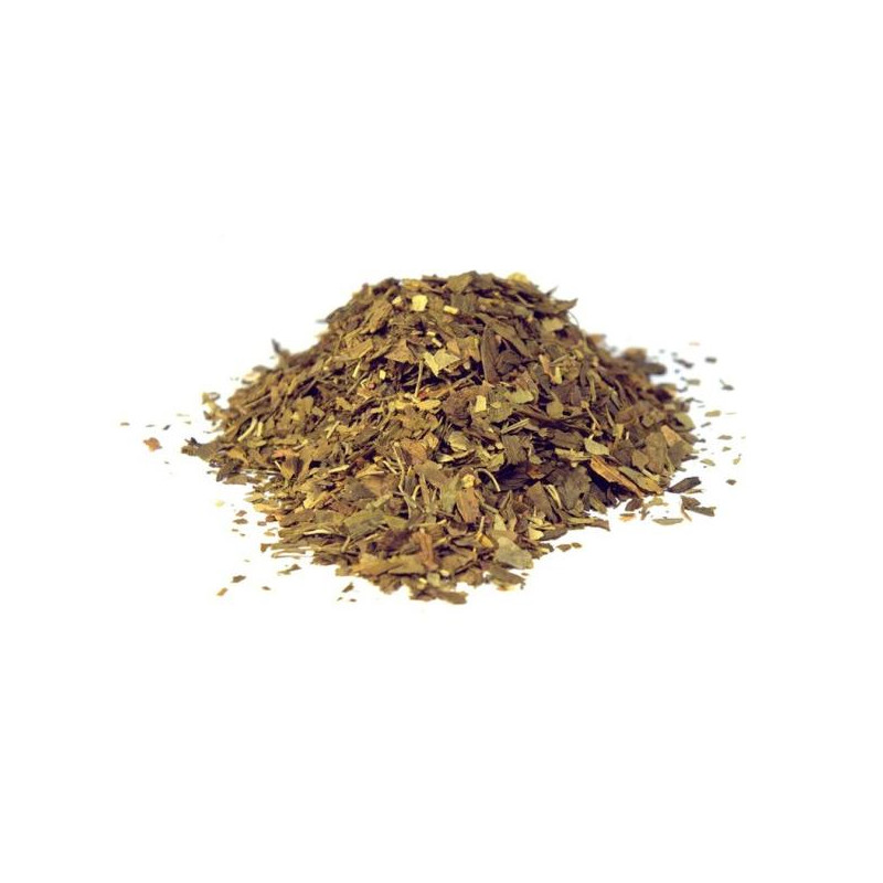 Ginkgo biloba