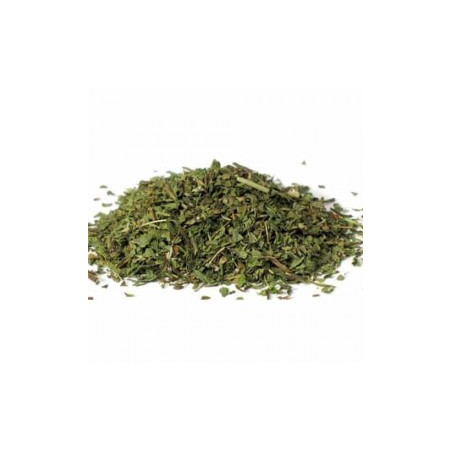 Menta cortada