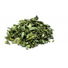 Moringa hojas
