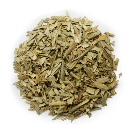Olivo hojas