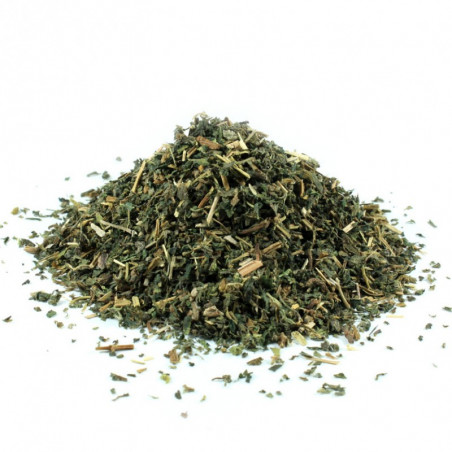 Ortiga verde