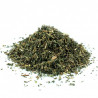 Ortiga verde