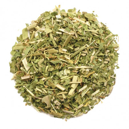 Pasiflora