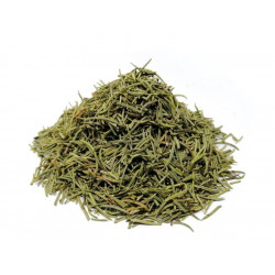 Romero hoja