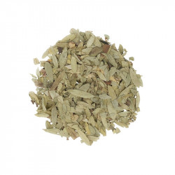Hoja de sen