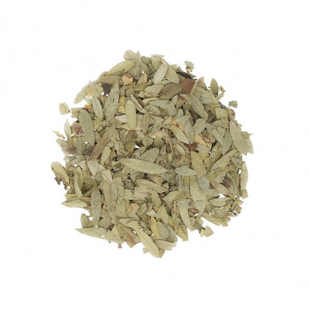 Hoja de sen