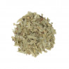 Hoja de sen