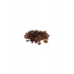 Pasas sultanas