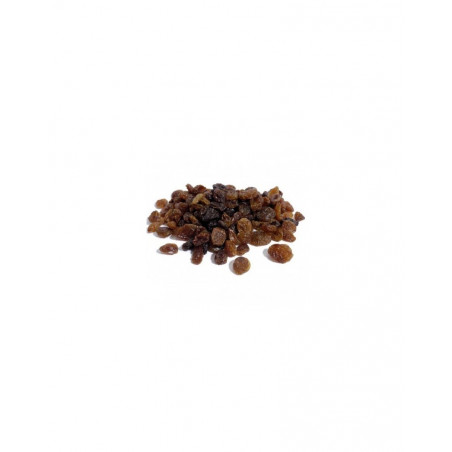 Pasas sultanas