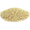 Sorgo blanco