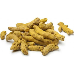 Curcuma raiz