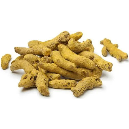 Curcuma raiz