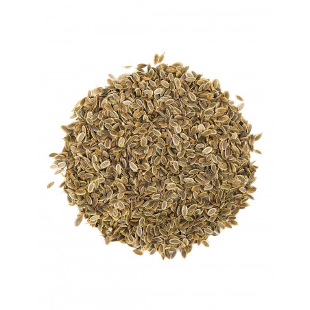 Eneldo semillas