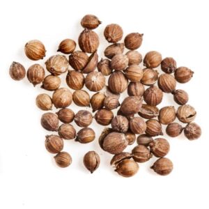 Cilantro grano