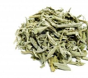 Salvia hoja